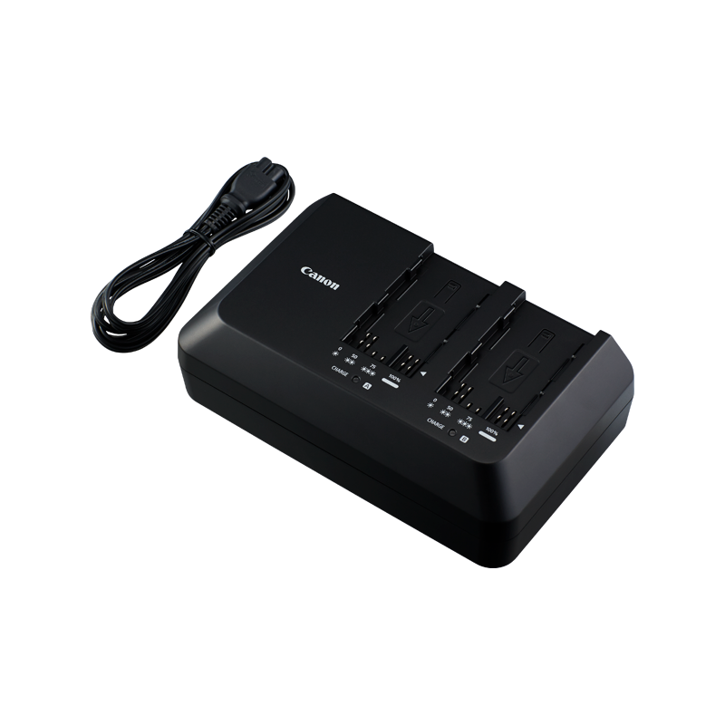 (Dual) Batterie Chargeur (CG-A10)
